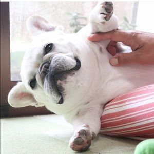 Meet your Posher, Justin